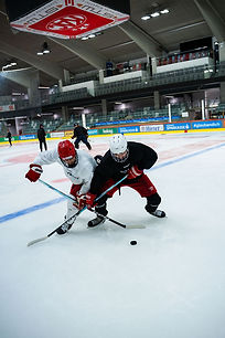 DSC_1137.jpg