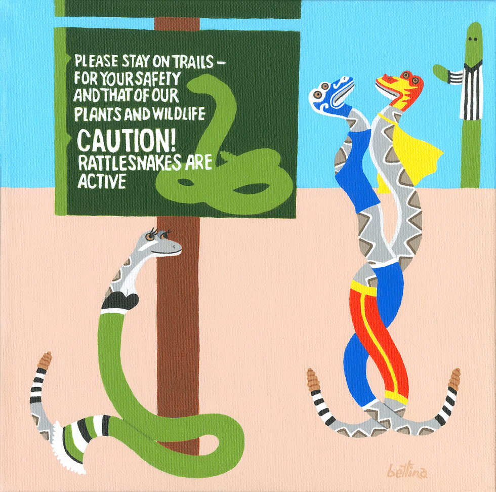 Lucha Libre at Tohono Chul