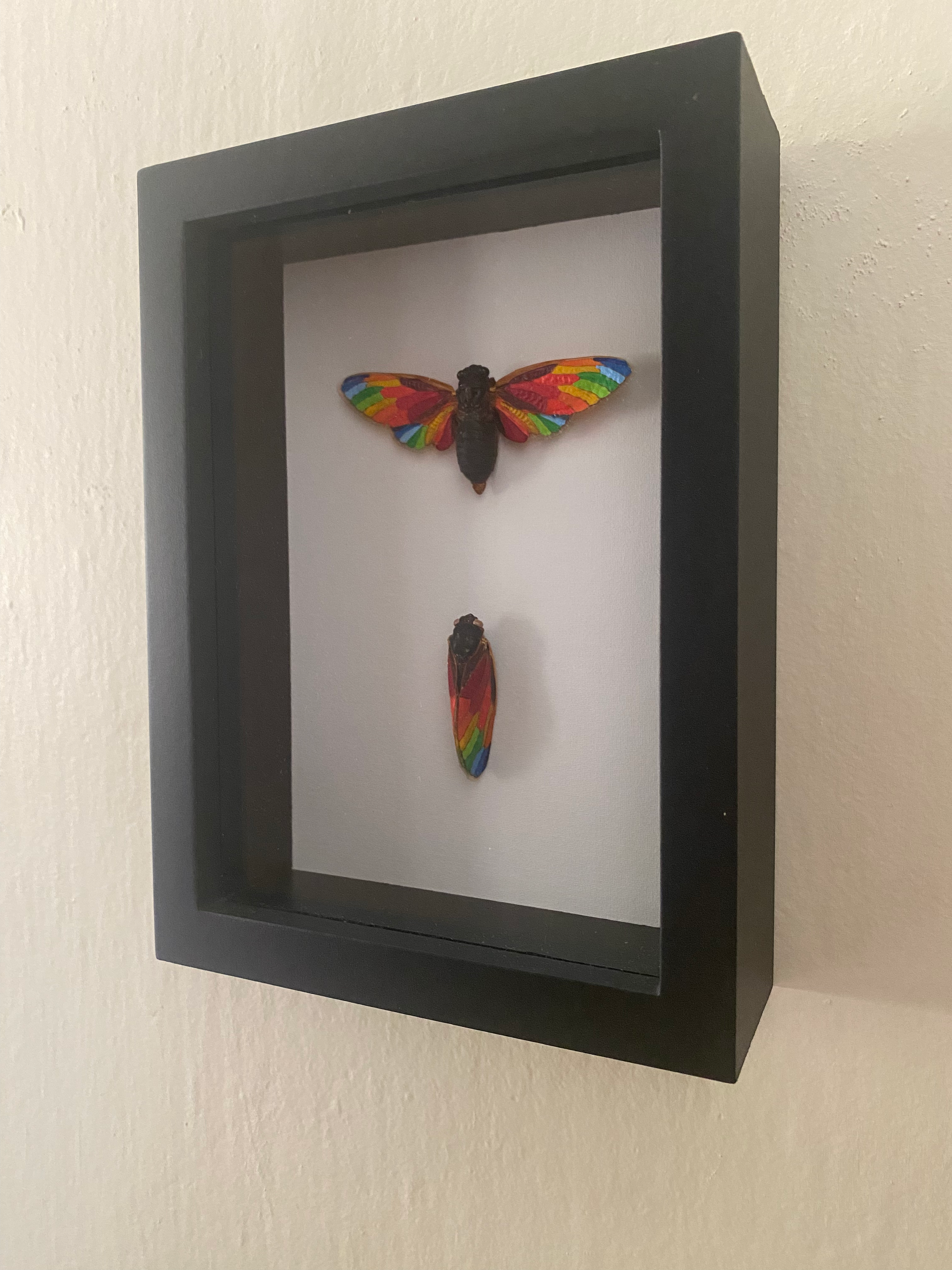 Framed Cigayda Pair
