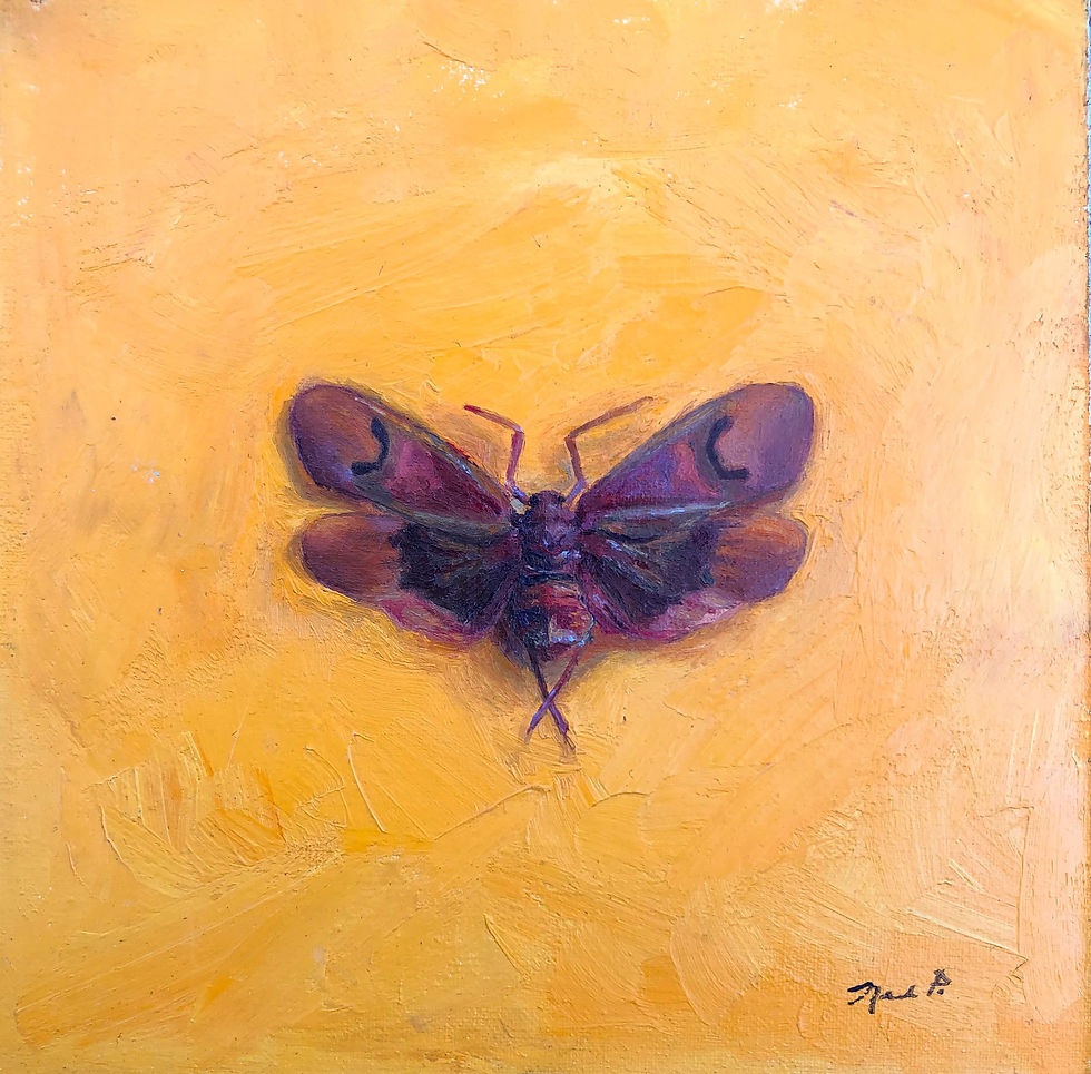 Thinking of sunflowers $525
