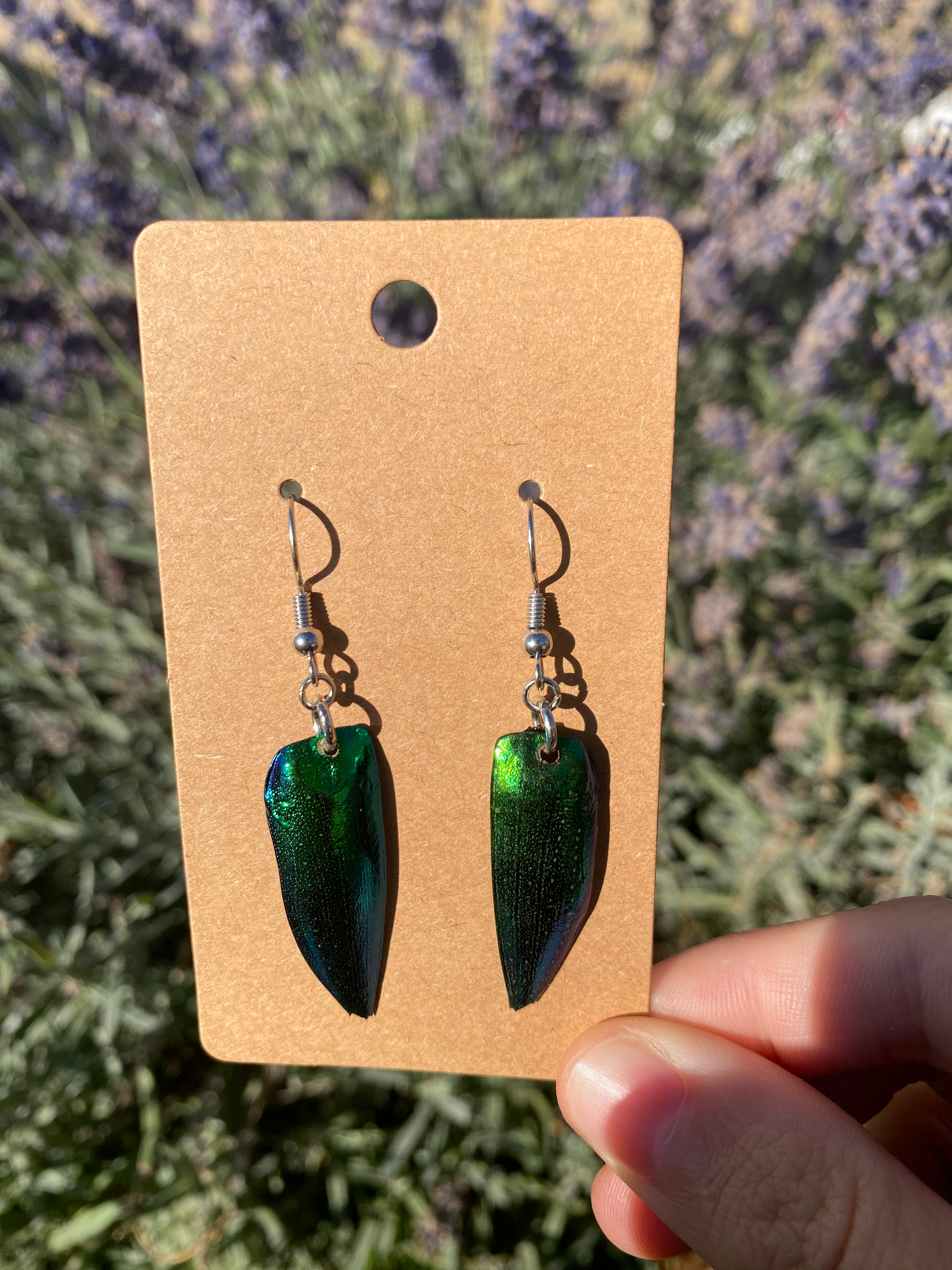 Jewel Beetle Earrings No2.