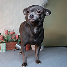 IMG_1569.jpeg
