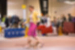 92267212-2022+spring+raleigh-799.JPG