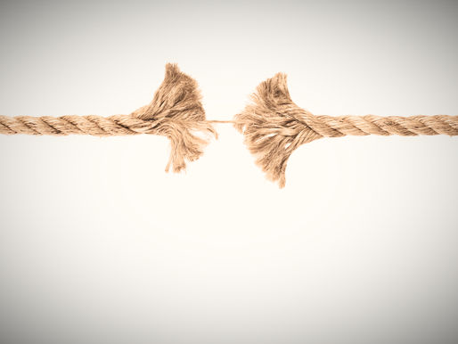 Time to Trim Back: The Hard Business Decisions That Lead to Growth