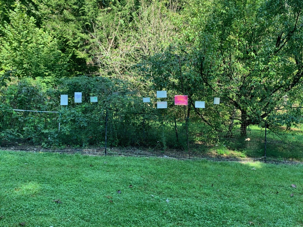"Art on a Fence" solo exhibition on an orchard fence outside of Washington DC
