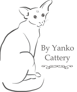 logo2.png