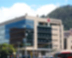 FLOR MORADO PLAZA