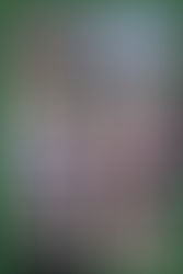 The Gift of the Gab from the Blarney Stone