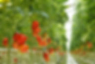 AdobeStock_60317119-min.jpeg