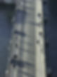 Münsterbrücke.jpg
