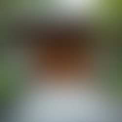 千葉での外構工事費用を詳しく解説 - 外構工事費用 千葉