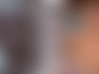 木製戸袋の鏡板部分修理工事（千葉県船橋市）