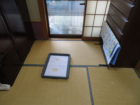 エクステリア施工事例