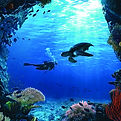 dive trip 2.jpg