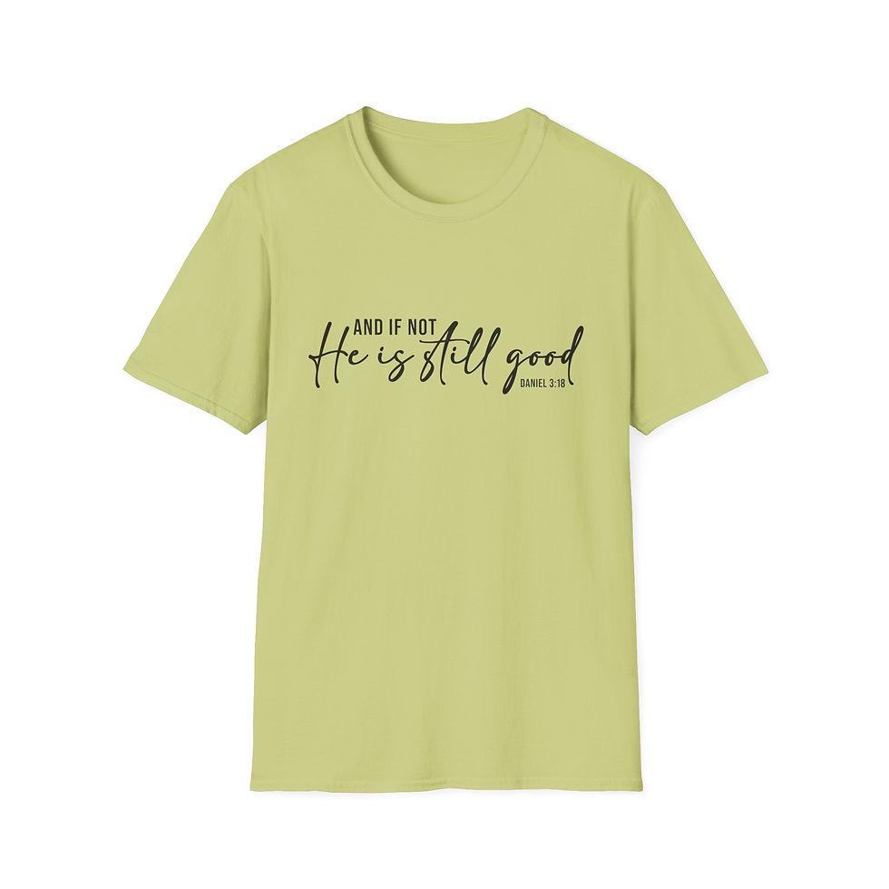 Thumbnail: And if Not Softstyle T-Shirt