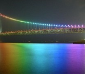 13702773_edited.png