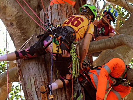 🌴Why Tree Climbing Competitions Make Us Better Arborists 🧗🏻♂️
