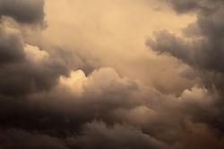 —Shiva Devi, PHD, LMSW, ACSW