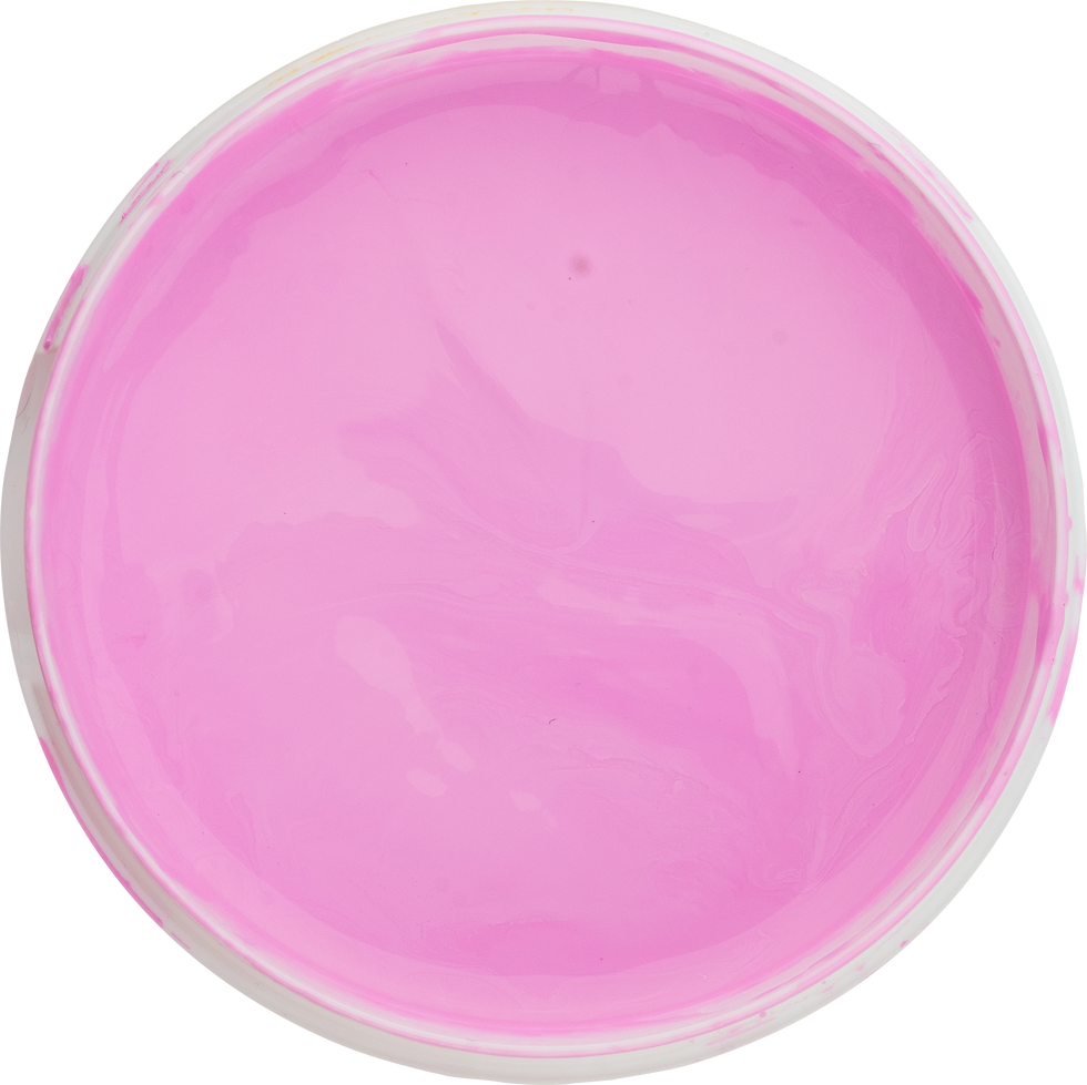 CARNATION PINK Perfectly Opaque Screen Printing Fabric Ink