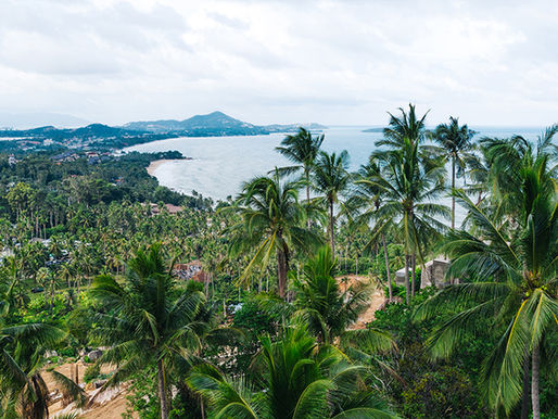 Relocation: A Journey of Change and Opportunities