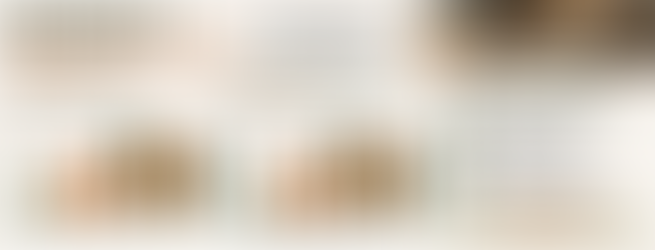 Animal Control Is a Calhoun County Quality-of-Life Issue