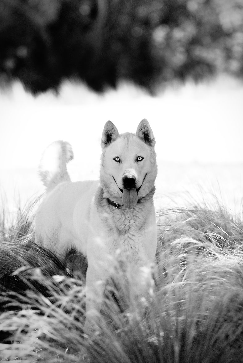 DSC_0075 (1).jpg