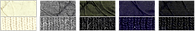 nk268271-8_edited_edited_edited.png