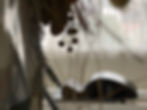 IMG_8169 2.jpeg