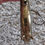 Thumbnail: Martin Handcraft Tenor Saxophone Neck Only-Good Functional Condition 30832