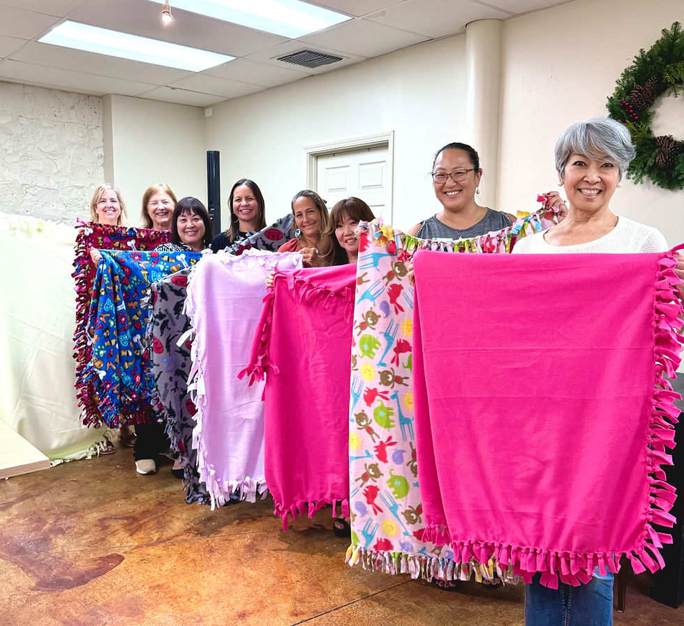 Various Community Service Projects