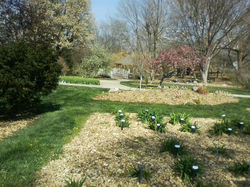 Garden Walk