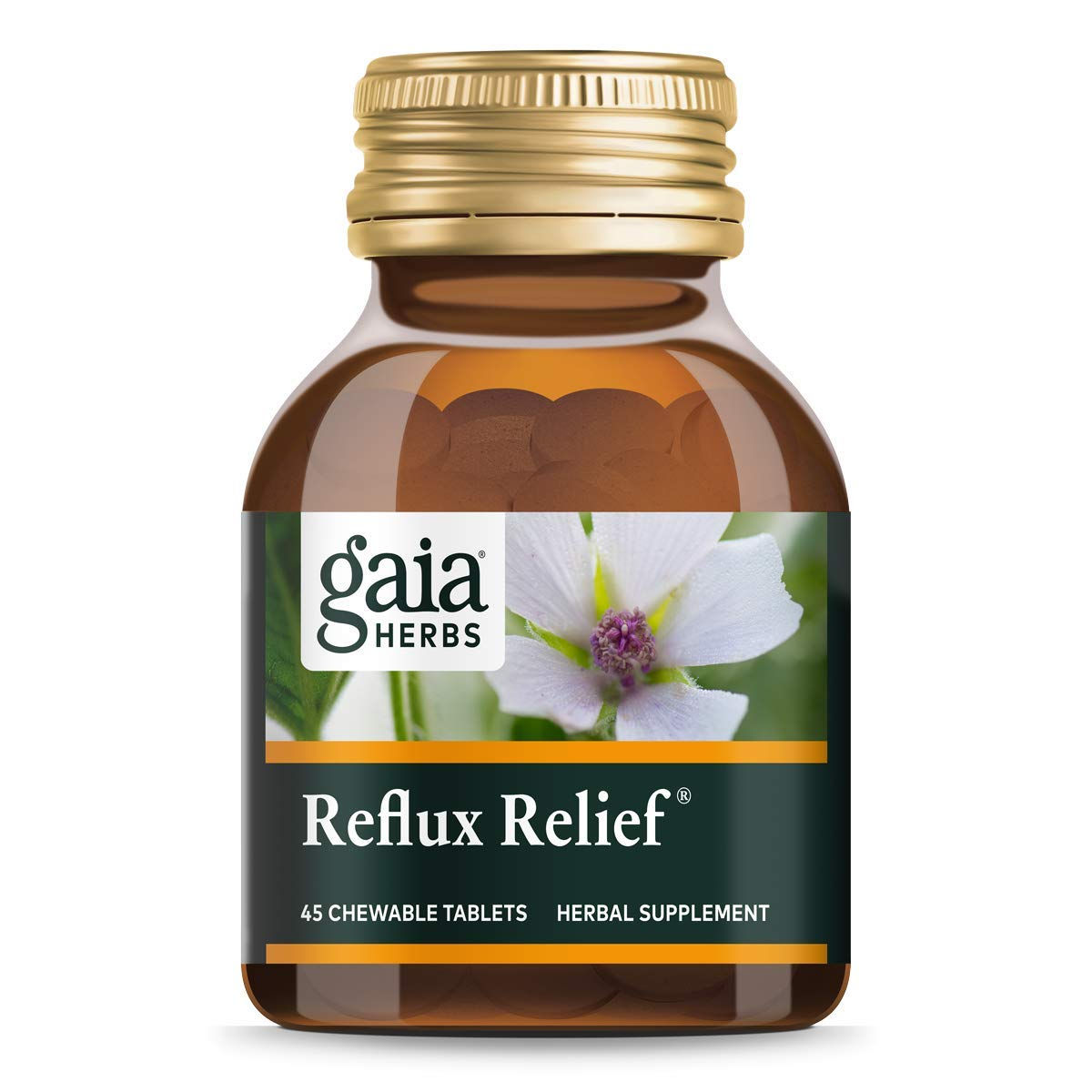 Gaia Herbs Reflux Relief Vegan Tablets