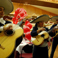 5 Vegan Beers and Tequilas for Cinco de Mayo