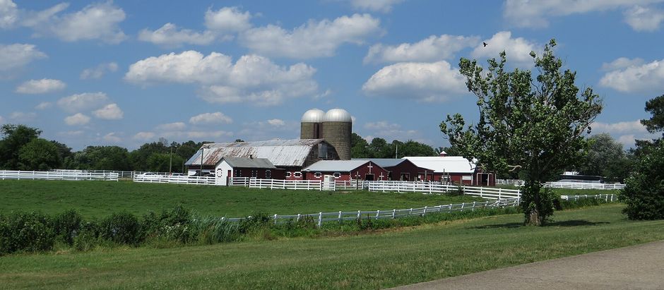 USDA Funding Freeze Puts Appalachia’s Small Farms and Conservation Efforts at Risk