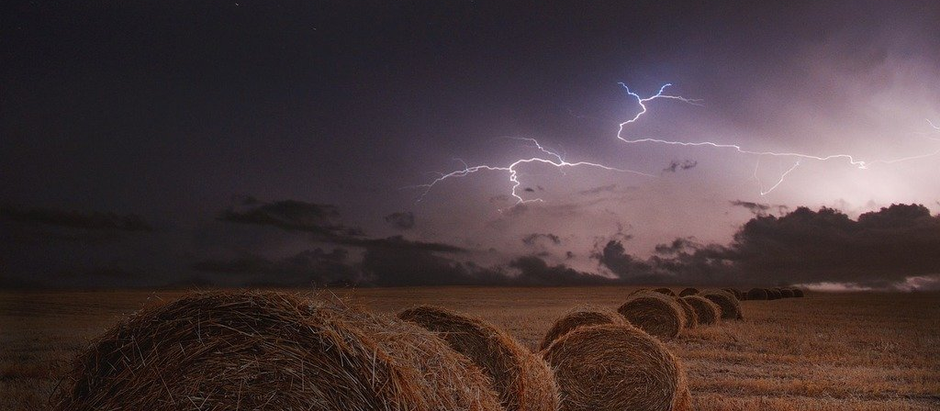 How Defunding USAID Could Accelerate the U.S. Farm Recession