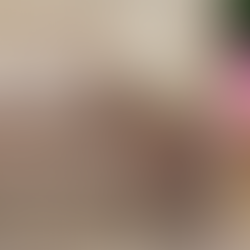 Jane Austen's Desk Kickstarter Campaign: Interview with Sarah Walton