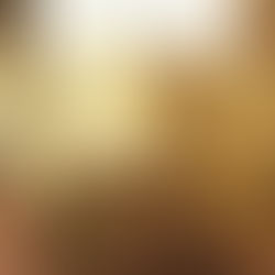 Austen 250 Reader Series: An Introduction to Northanger Abbey