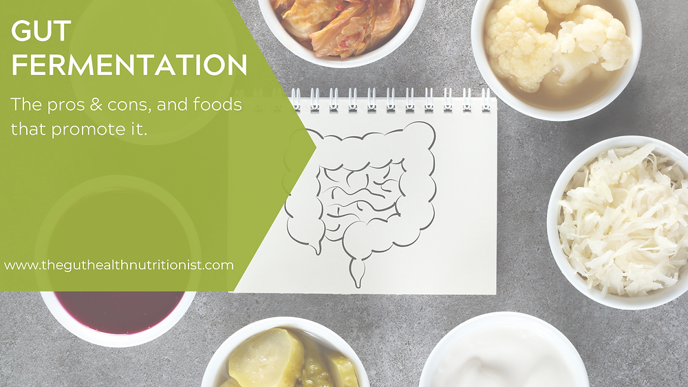 Gut Fermentation The Key to a Healthy Microbiome