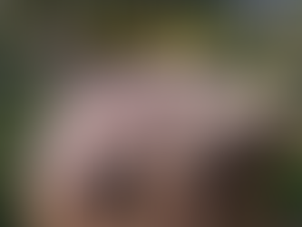 Reseña del libro Fronteras Rupestres en México