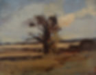 Tree, Ballyglass, oil on board, 15x19cm, 2017.