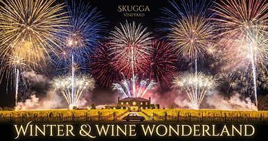 skugga CNX MAG banner -1.png