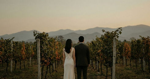 skugga vineyard wedding couple.jpg