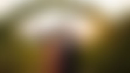 The Best Time to Marry in Chiang Mai: A Haze-Free Weather Guide for Singapore Couples