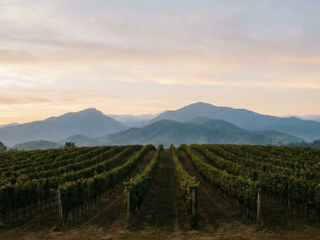 Chiang Mai vs Bali: The Smart Singapore Couple’s Guide