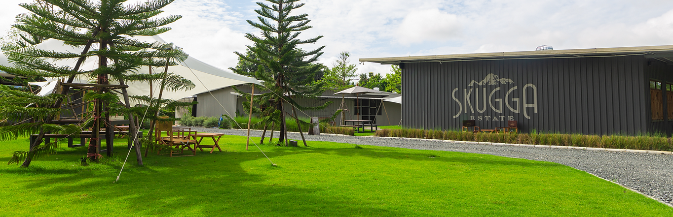 IMG_8833 - สำเนา_edited.png