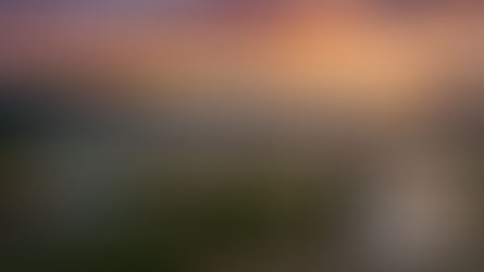 skugga vineyard weddings