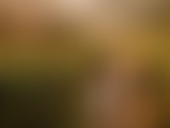 vineyard experience in chiang mai