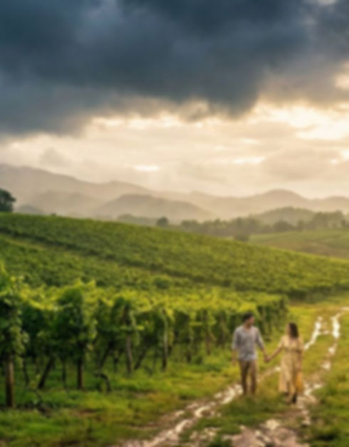 Skugga Vineyard Wedding Weather.jpg
