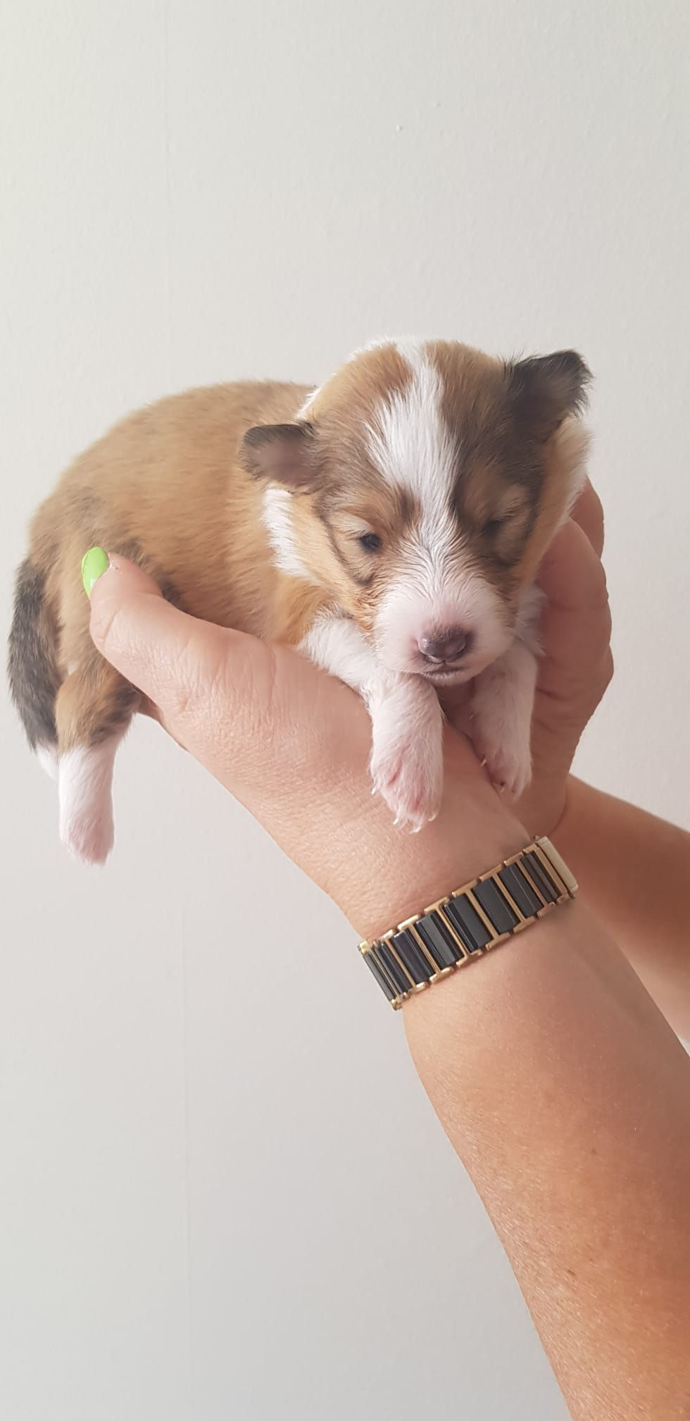 Finja