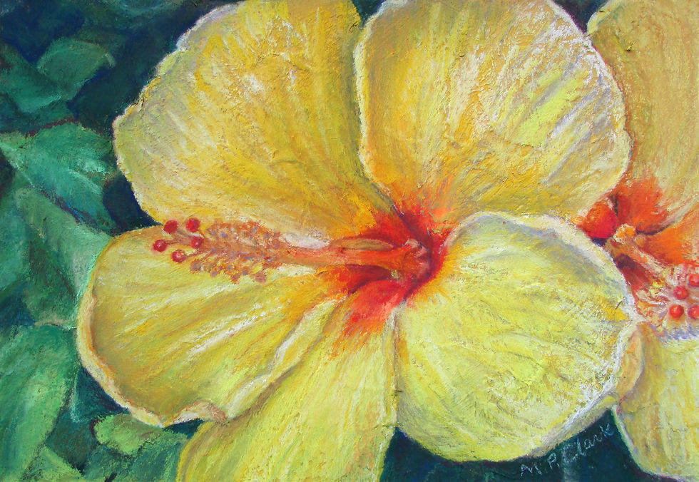 Sunburst